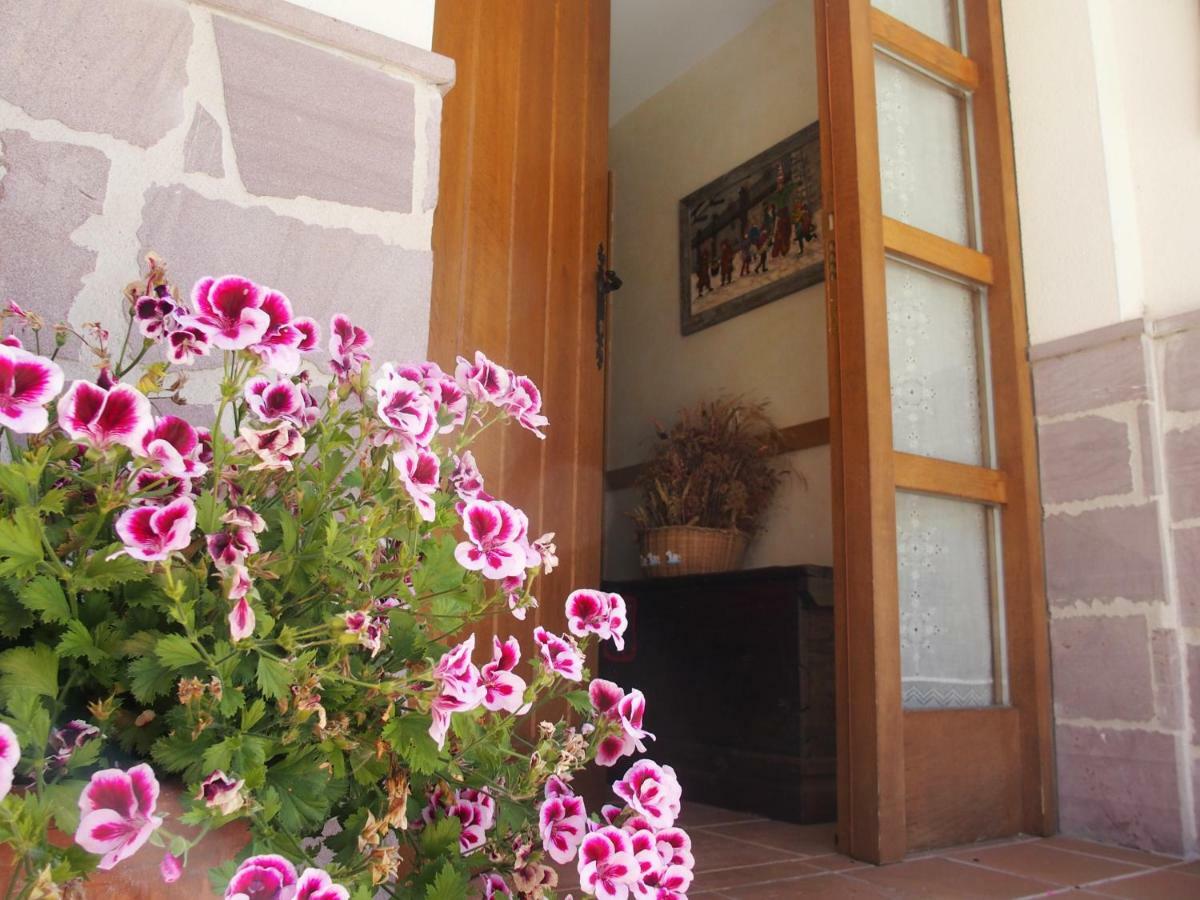 Casa Rural Txolinenea Pension Lantz Buitenkant foto
